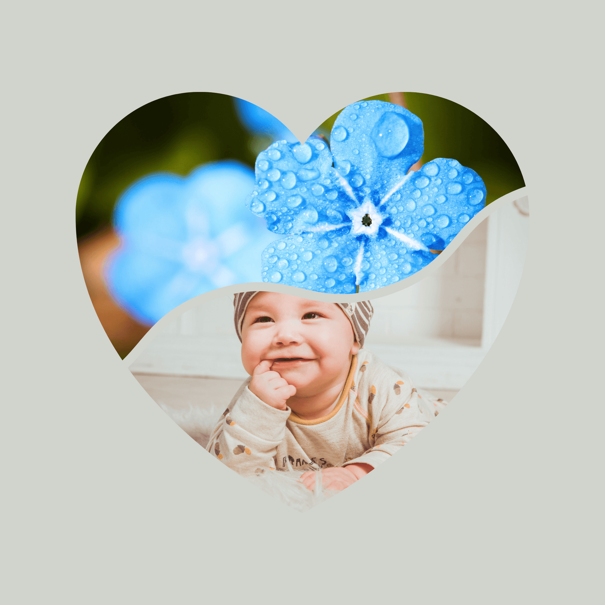 Canva Templates - Frames - Hearts