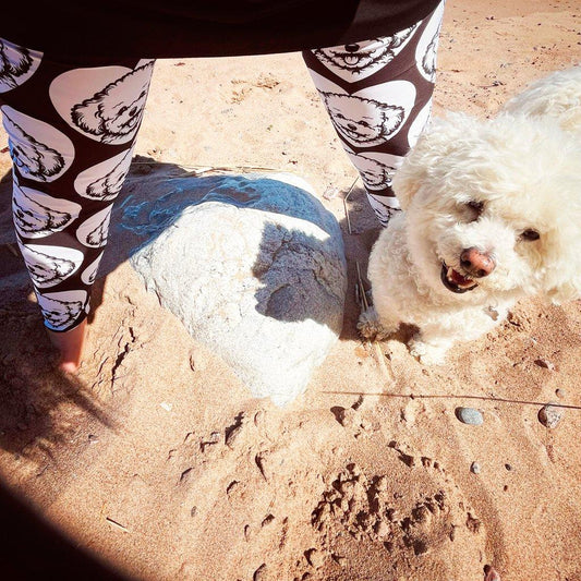 Dog breed leggings with pockets - BICHON FRISÉ - HERTTAHOUND