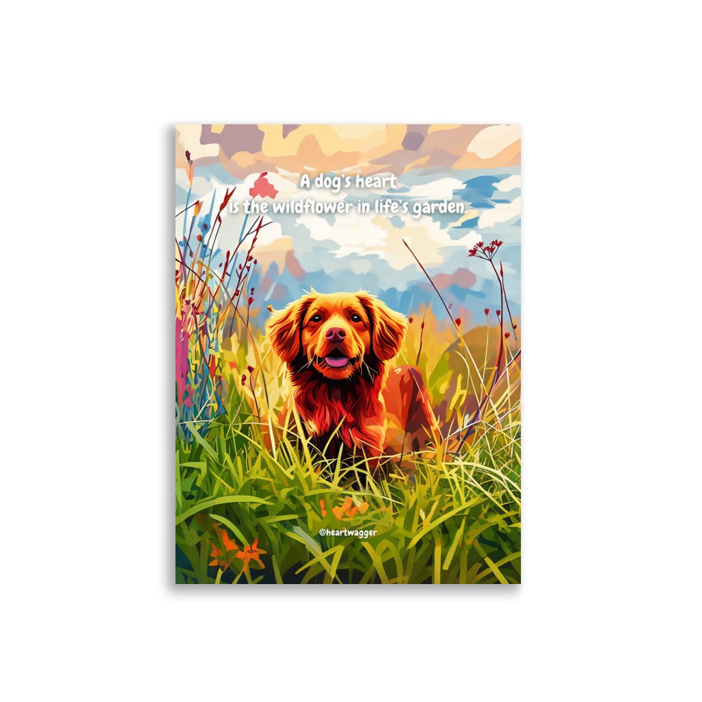 Poster - A dog’s heart is the wildflower in life’s garden 30×40 cm