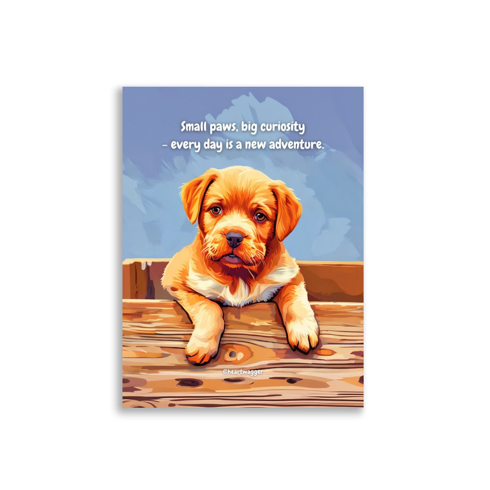 Poster - Small paws, big curiosity - every day is a new adventure 30×40 cm
